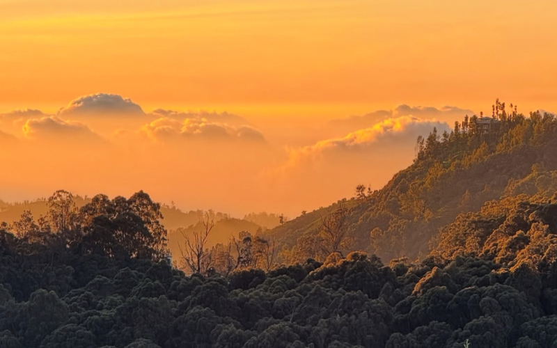 Scenic Viewpoints in Ooty