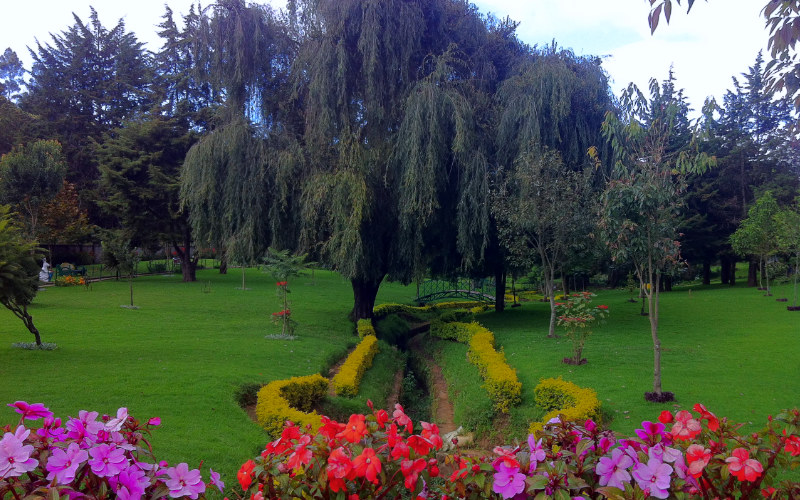 Arboretum Tree Garden